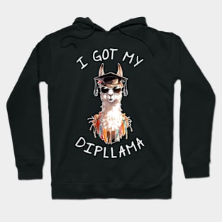 I Got My Dipllama Hoodie